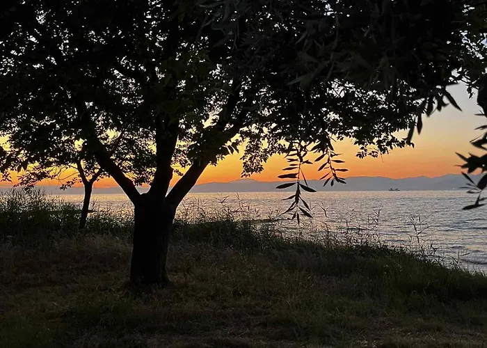 Jason Holidays Daire *